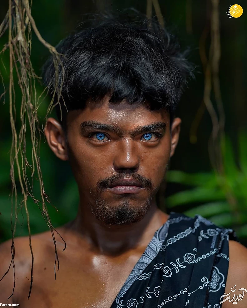 (تصاویر) (تصاویر)